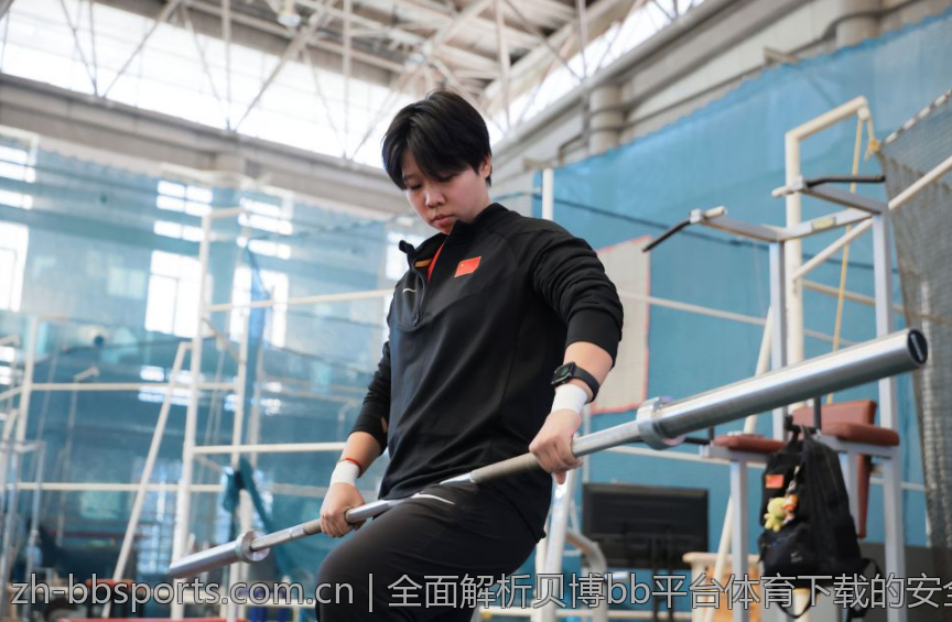 全面解析贝博bb平台体育下载的安全性
