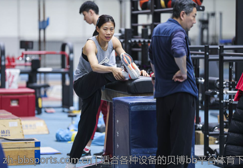 适合各种设备的贝博bb平台体育下载使用评测
